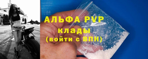 крисы Балахна