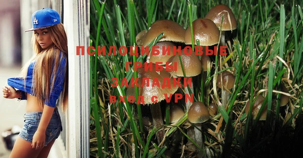 крисы Балахна
