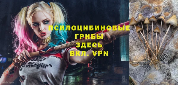 ECSTASY Арсеньев