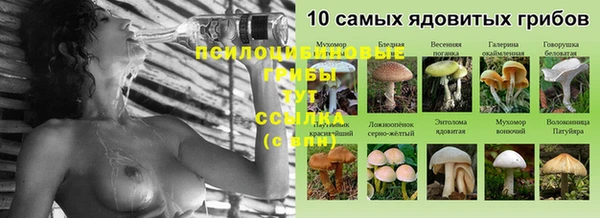 крисы Балахна
