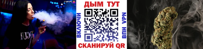 Конопля план  где можно купить наркотик  Пыталово 